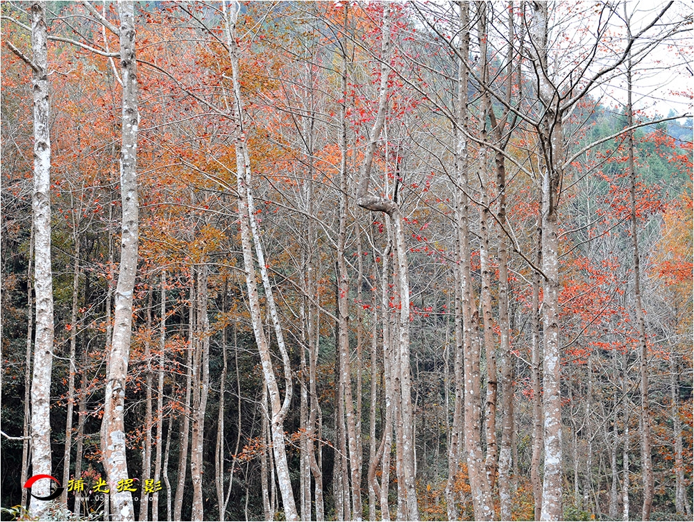 LCL_3149.jpg