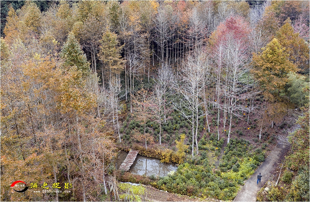 DJI_0711.jpg