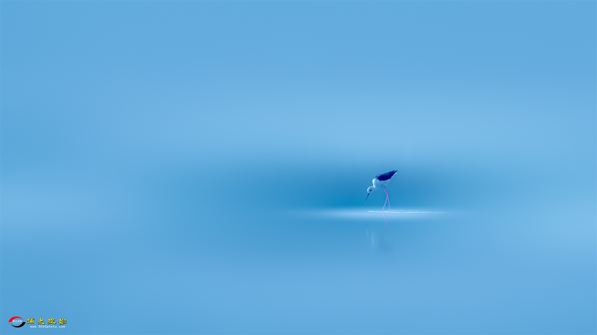 _36A7387-2048.jpg