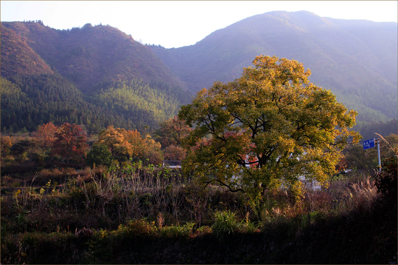 塔川野景