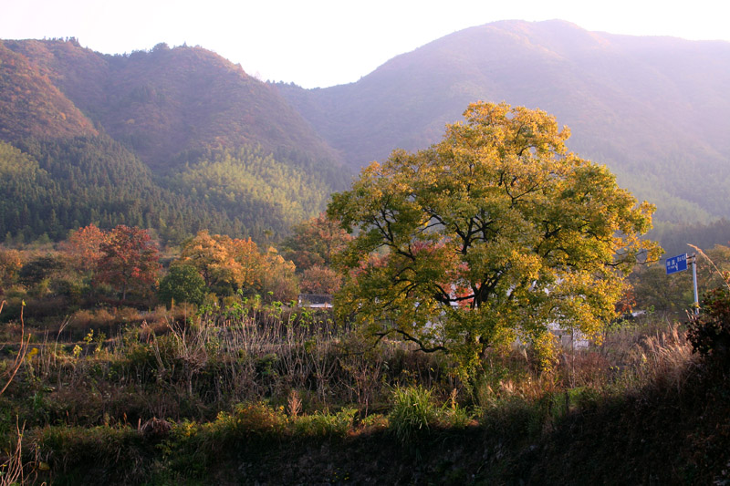 塔川野景