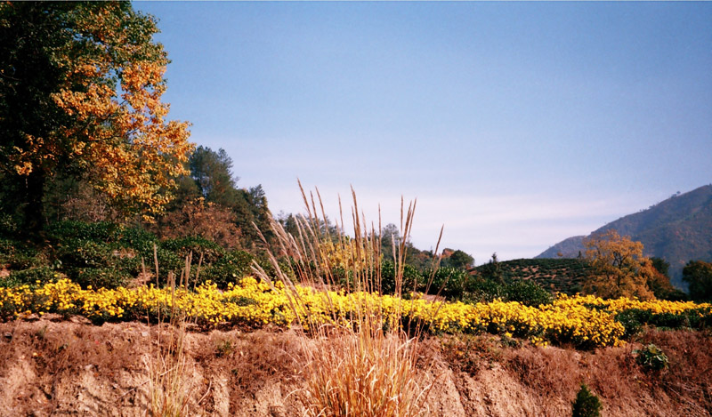 Էϡ֮