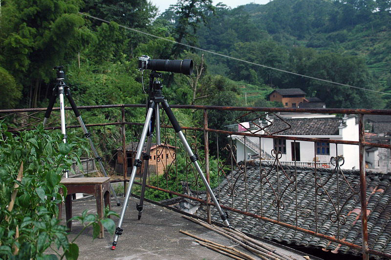 20068Ѯʯvɷ绨