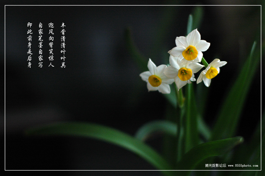 [ԭ]ˮɻ