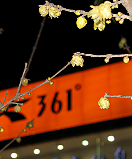361ǰ÷.С