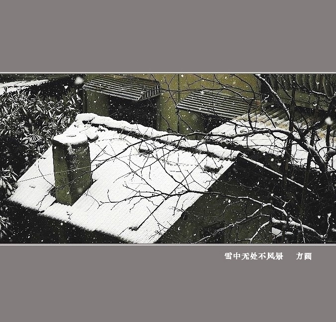 [原创]雪中无处不风景