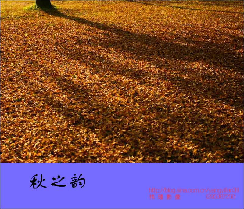 ֮