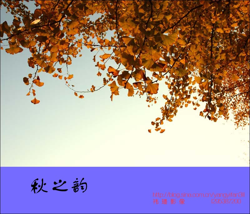 ֮