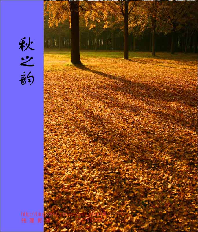 ֮
