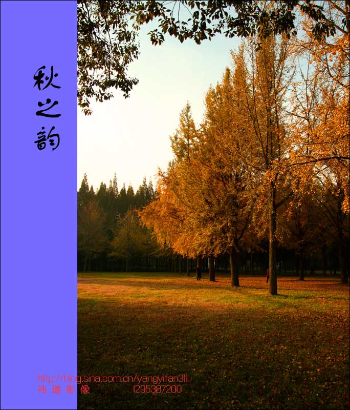 ֮