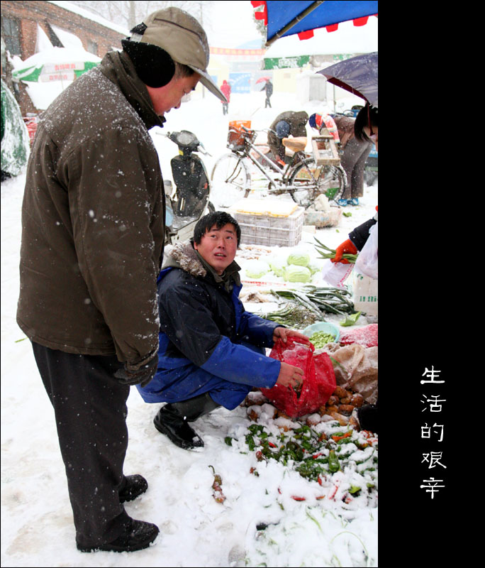 [公告]丽的数码图片”11月赛获奖作品