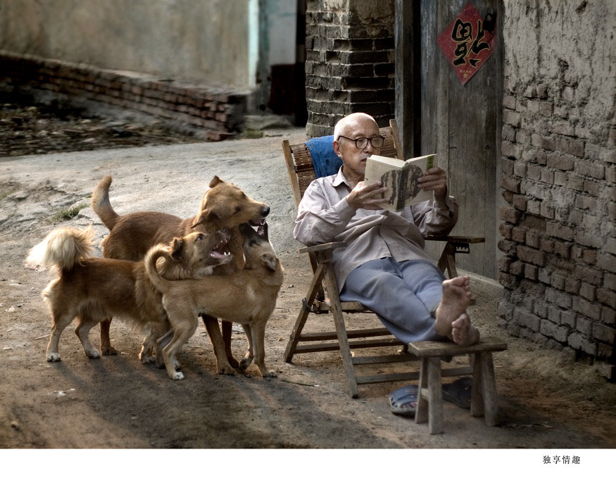 [公告]热烈祝贺忆风在“尼康在中国”2008 生命•活力摄影活动中获得银牌