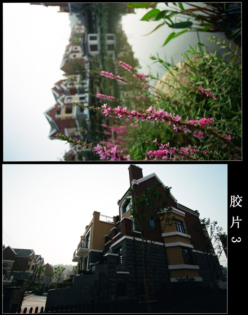 ԰СƷ~