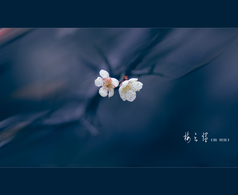 [ԭ]÷Ū