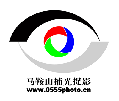 <font color=#19F819>[公告]捕光捉影论坛征集LOGO图标</font>