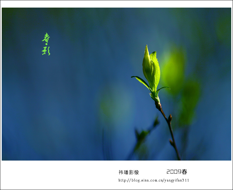 春·影