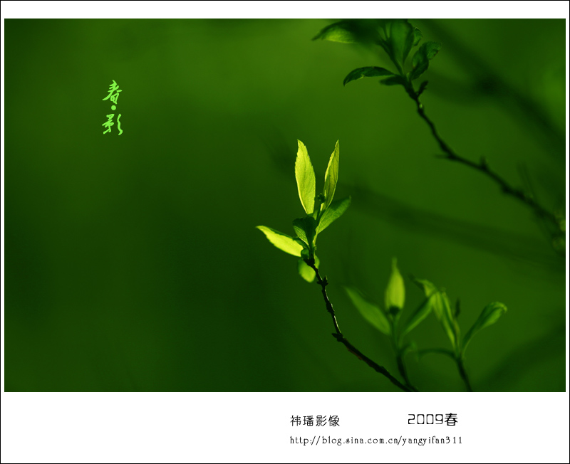 春·影