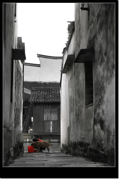 [原创]在乌镇沉淀