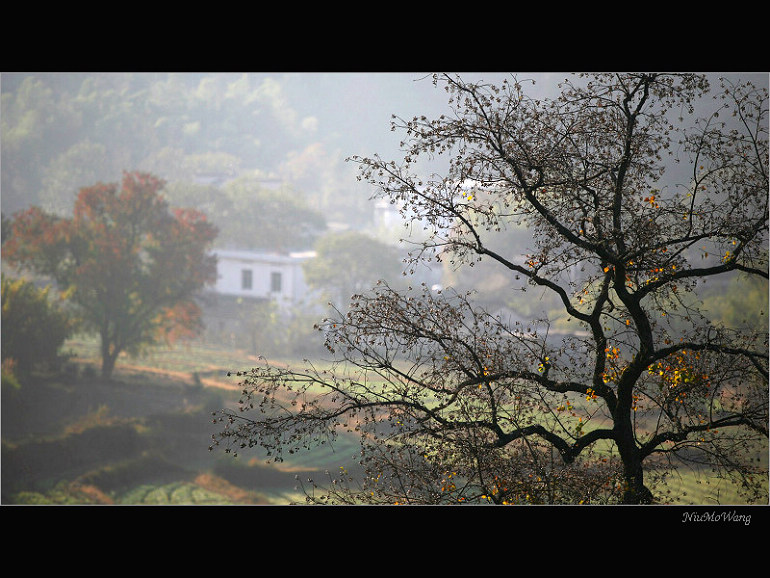 IMG_3973.jpg