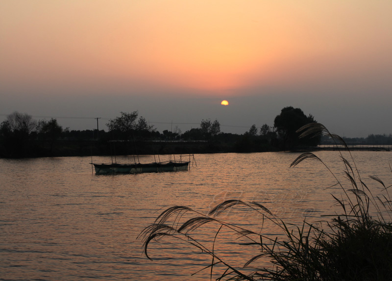 夕阳1.jpg