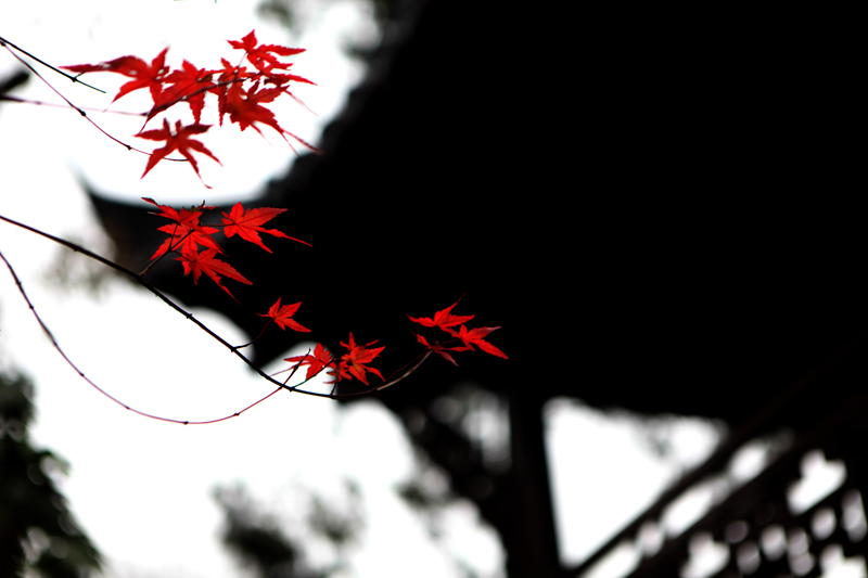 照片 025.jpg