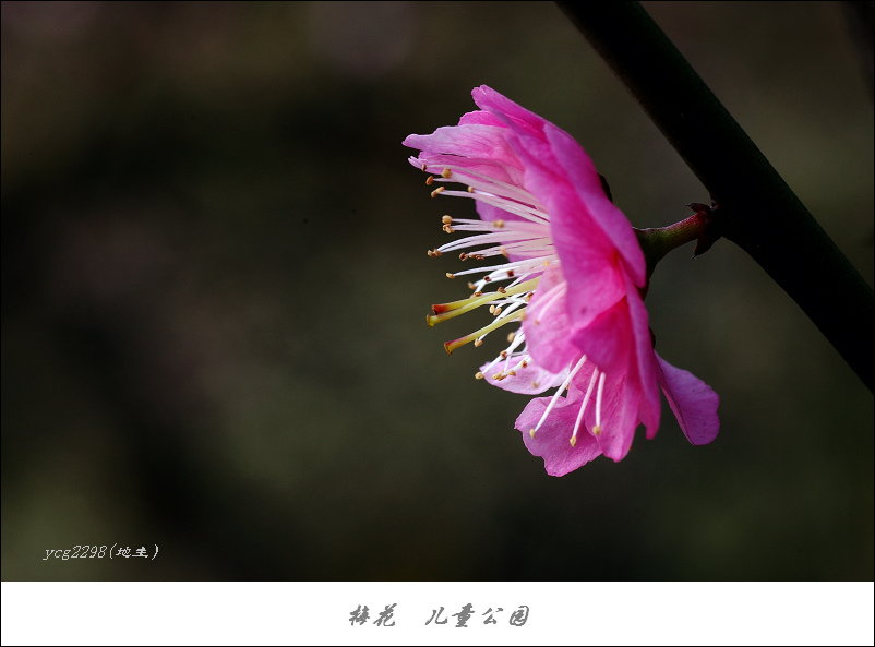 IMGP9830.jpg