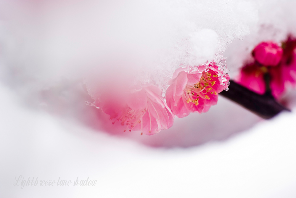 “_DSC4378”-1为智能对象-1.jpg
