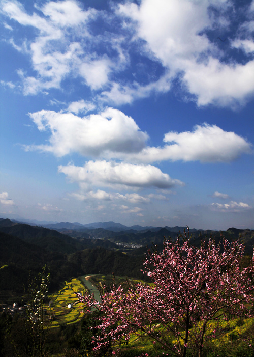 IMG_5679副本.jpg