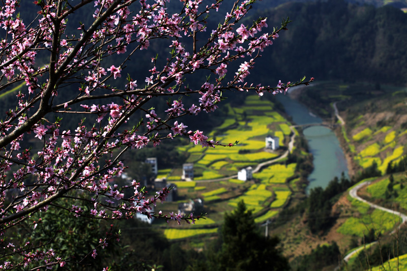 IMG_5658-1副本.jpg