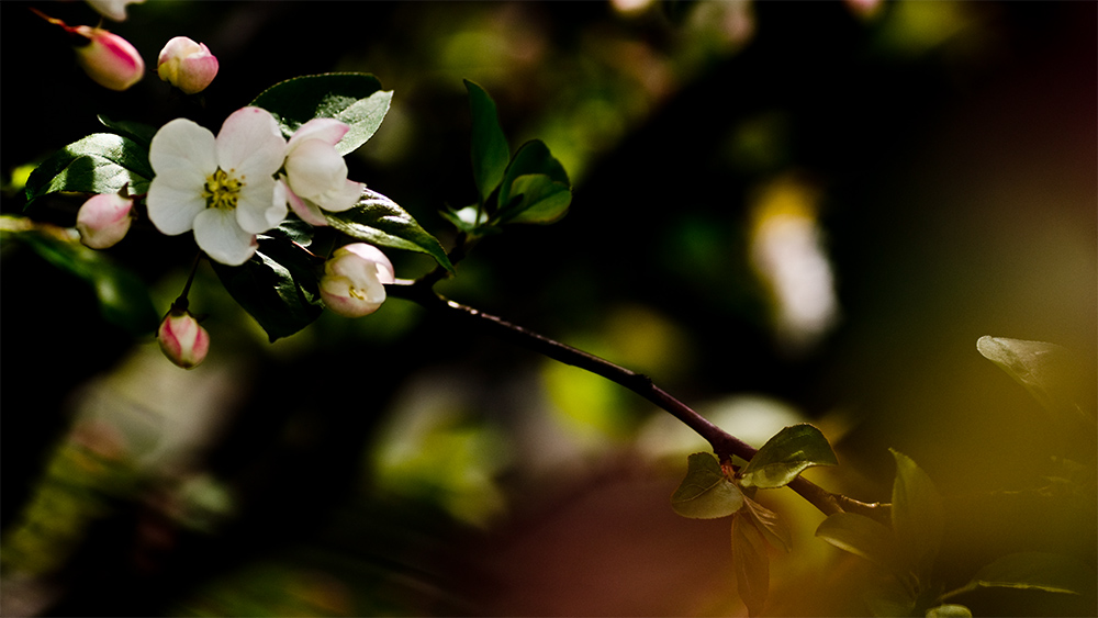 _DSC5575Ϊܶ-1.jpg