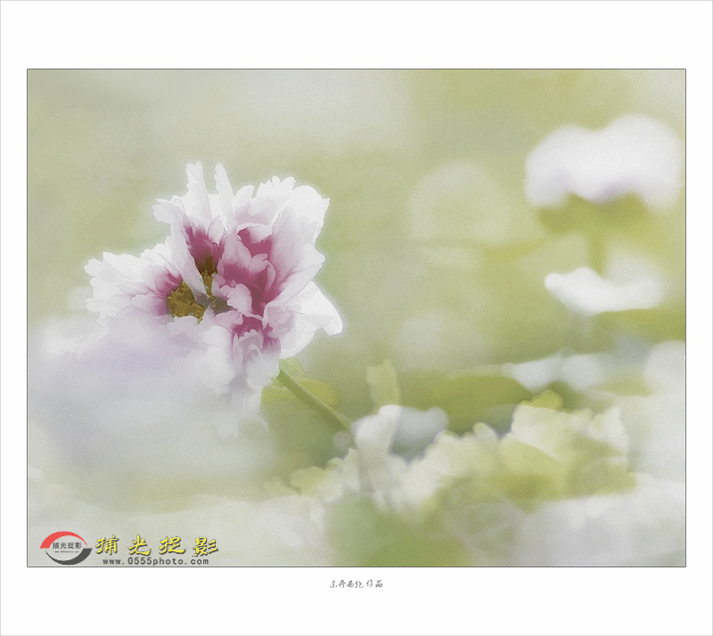 “DSC_2000”3suo.jpg