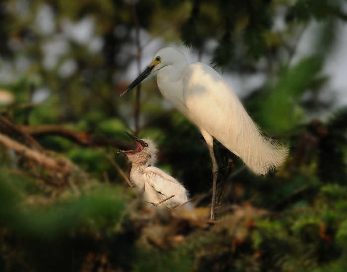 DSC_7978.jpg
