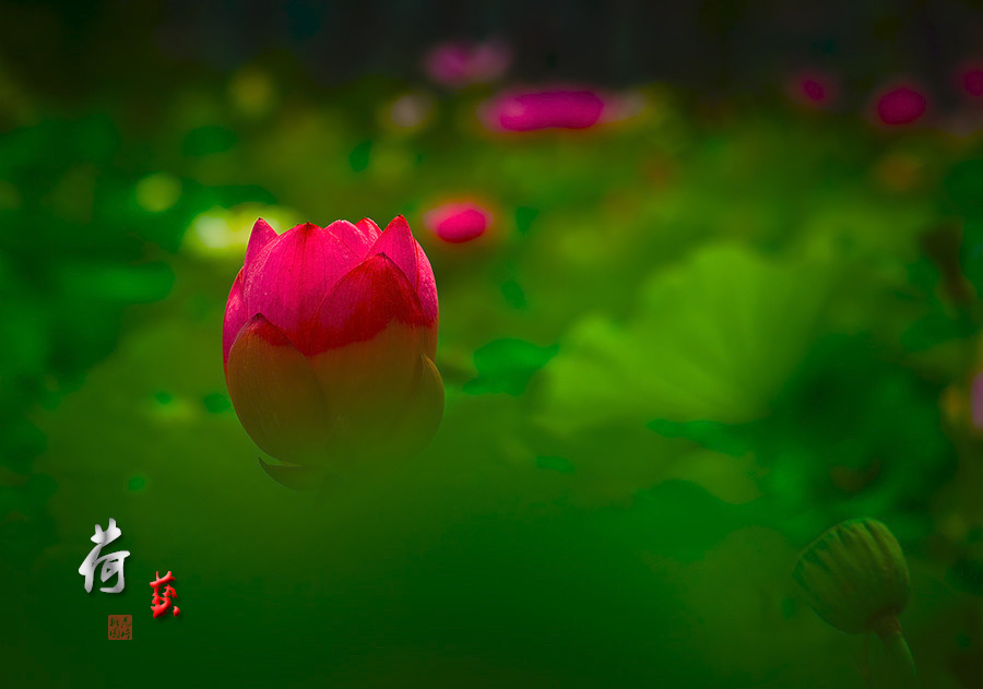 abbr_67cc7d560fb678ec7d8360200be67533.jpg