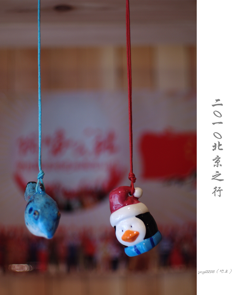 IMGP0362.jpg