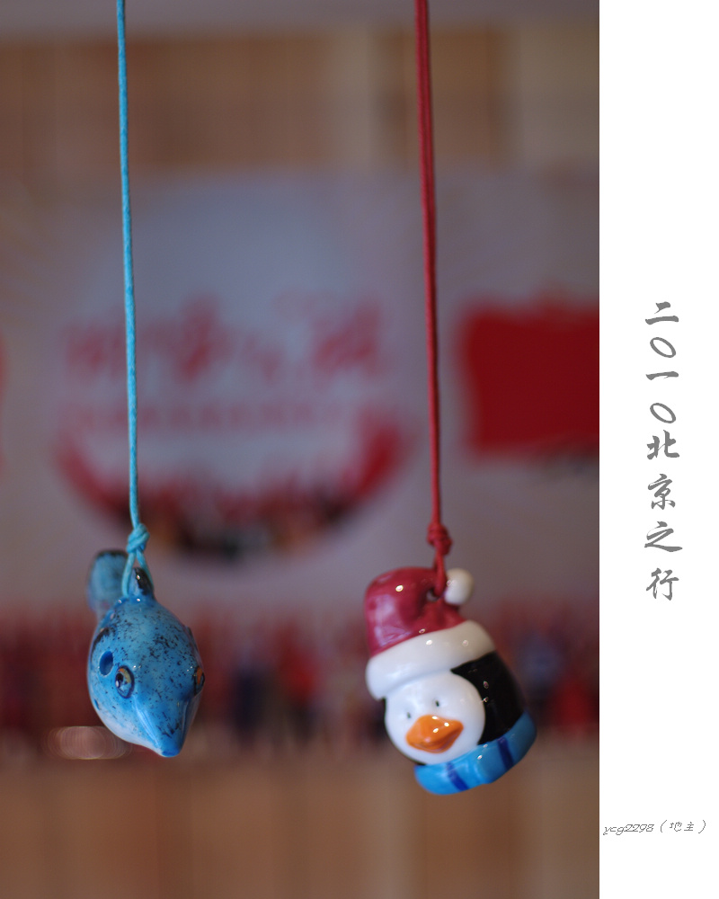 IMGP0360.jpg