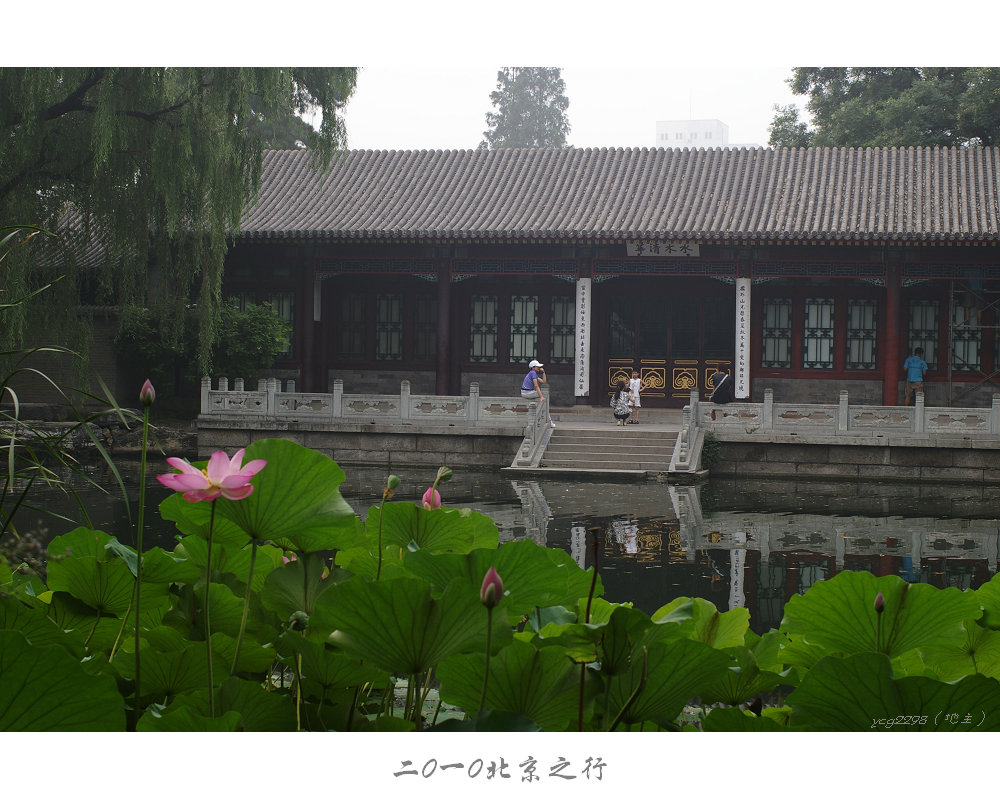 IMGP0833.jpg