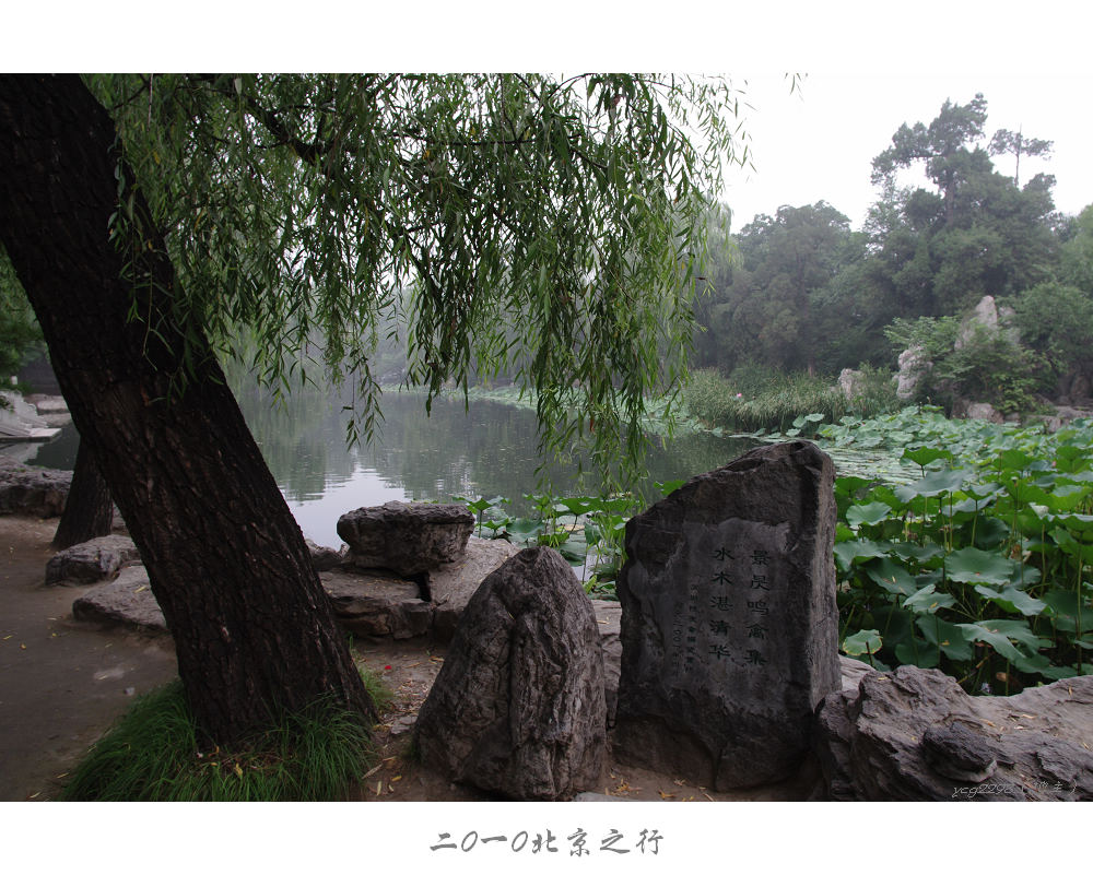 IMGP0131.jpg