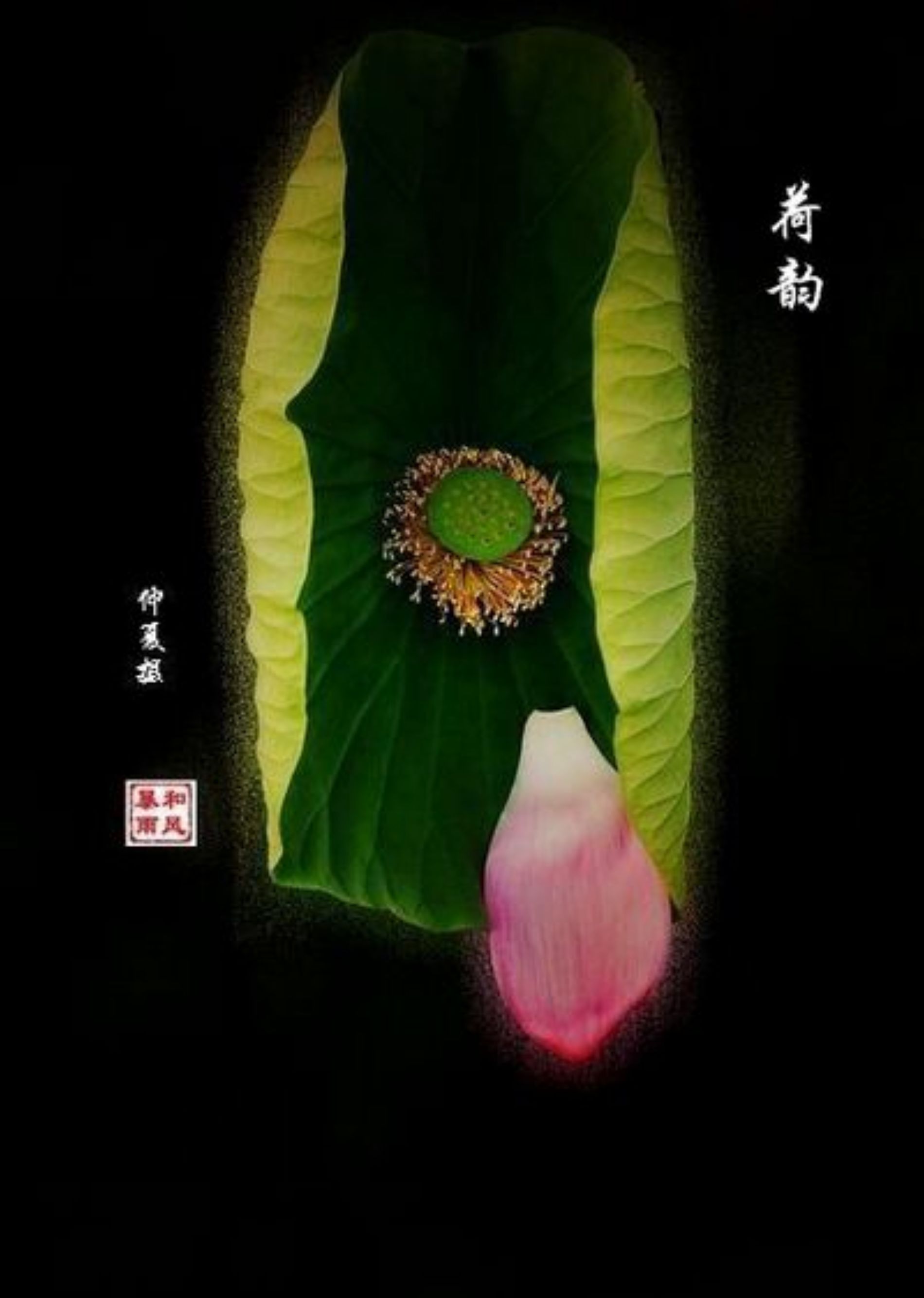 SDC15269_副本1.jpg