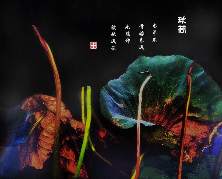 _MG_4079_副本.jpg