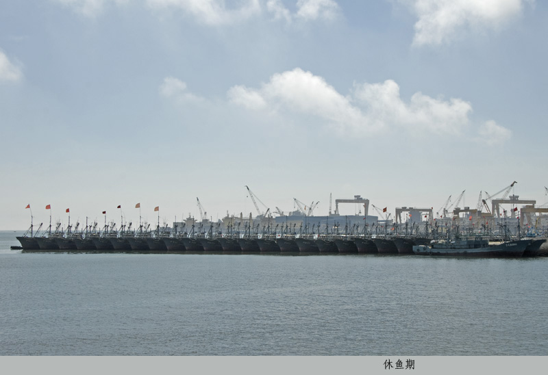 28-休鱼期.jpg