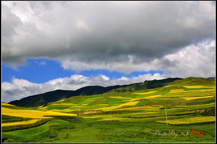 _DSC5966_副本.jpg
