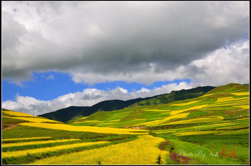 _DSC5967_副本.jpg