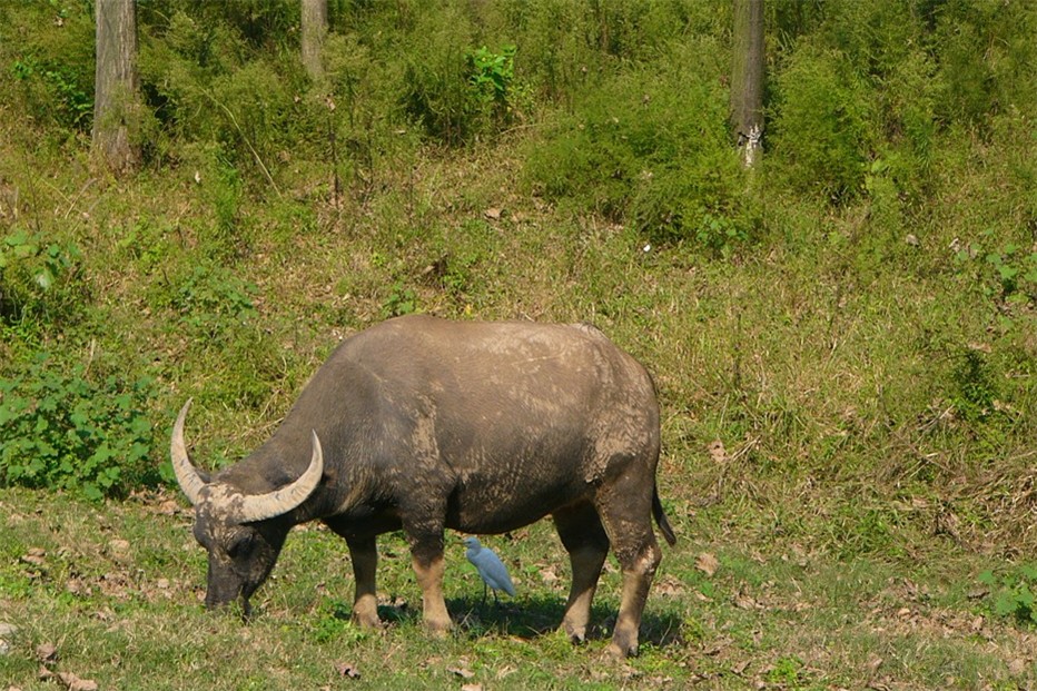 P1230682_.jpg