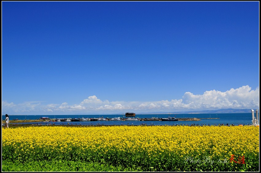 _DSC6090_副本.jpg