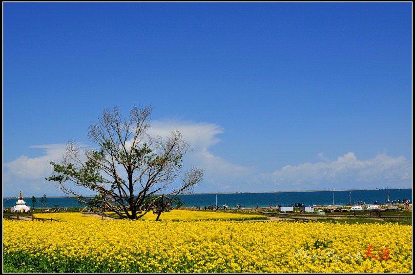 _DSC6094_副本.jpg