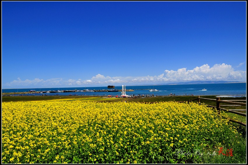 _DSC6086_副本.jpg