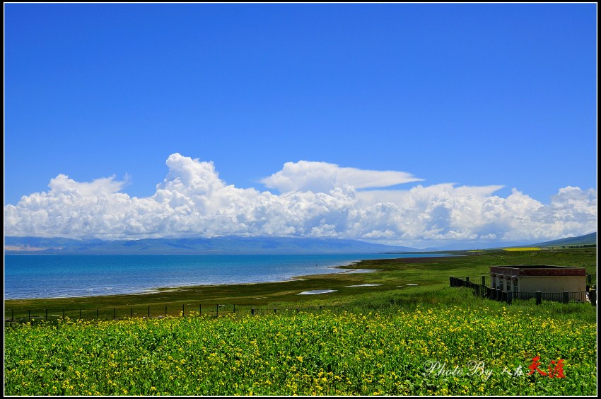 _DSC6074_副本.jpg