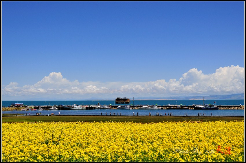 _DSC6092_副本.jpg