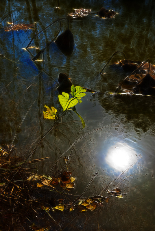 _DSC3258.jpg