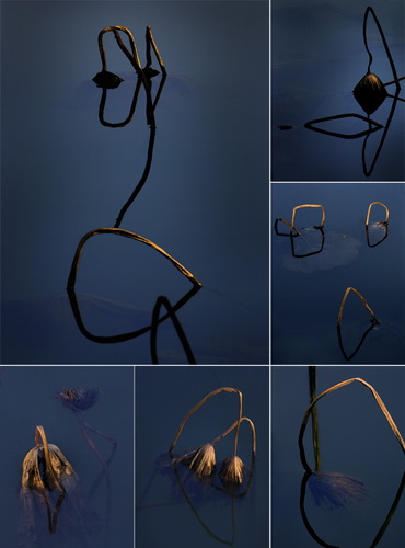 ʡֱ-Ϊ-κ-149.jpg